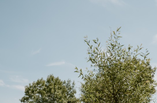 Natuur Gierle in de zomer (vergroot foto)