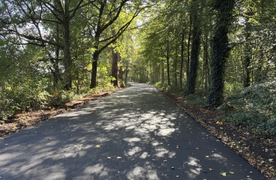 blommerschot (vergroot foto)