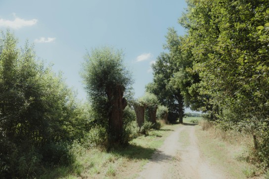 Natuurgebied Den Haert (vergroot foto)