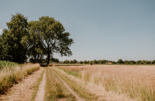 Natuur Gierle in de zomer (vergroot foto)